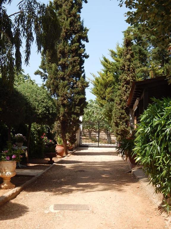 Gallery Basement In Villa Vravrona Μαρκόπουλο Εξωτερικό φωτογραφία
